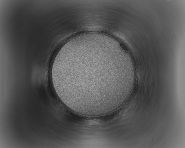 X0000089380583200706291318