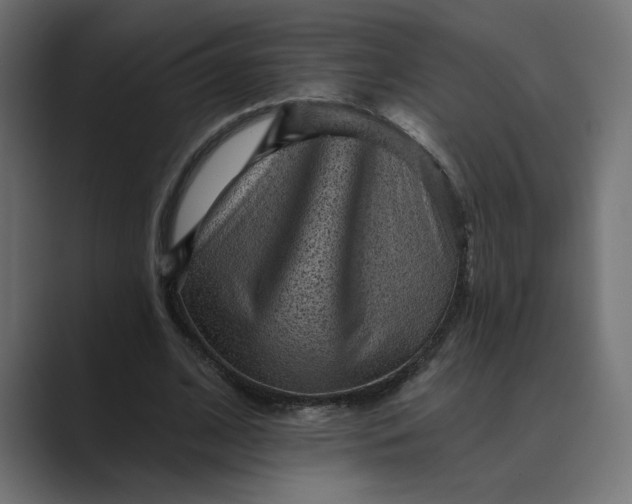 X0000089380584200706291318