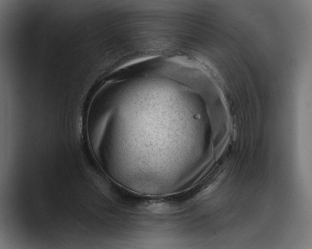 X0000089380589200706291318