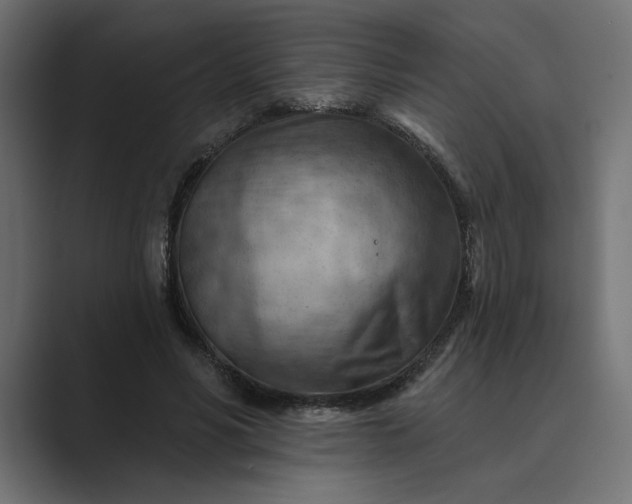 X0000089380590200706291318