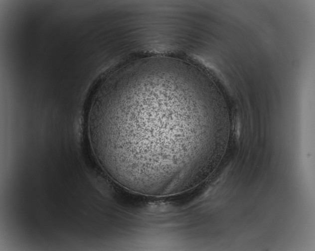 X0000089380591200706291318