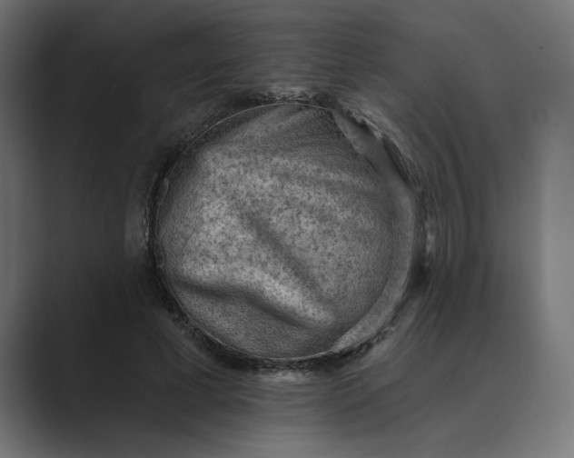 X0000089380593200706291318