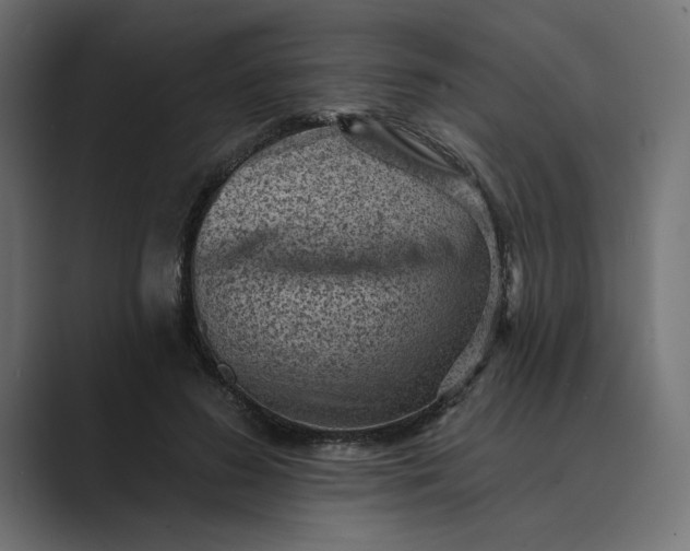 X0000089380596200706291318