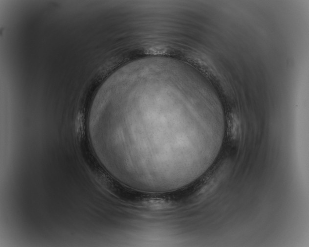 X0000089380598200706291318
