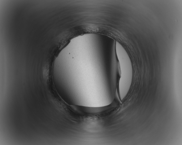 X0000089380600200706291318