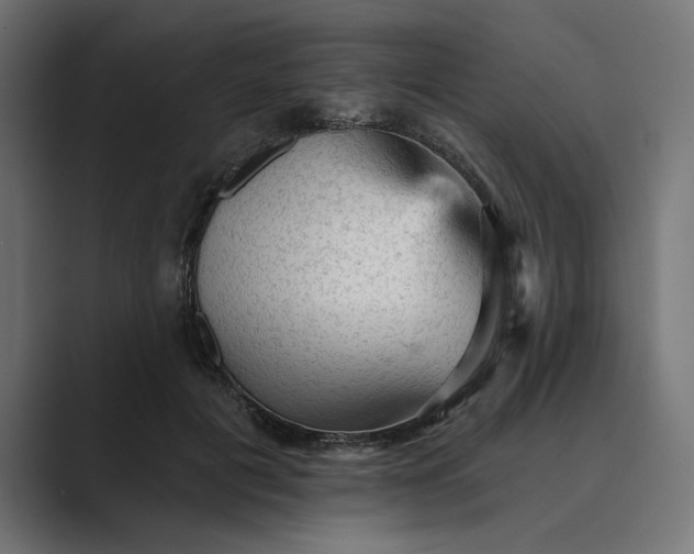 X0000089380601200706291318