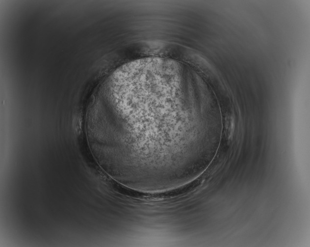 X0000089380602200706291318