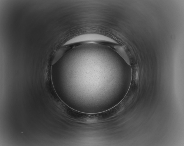 X0000089380604200706291318