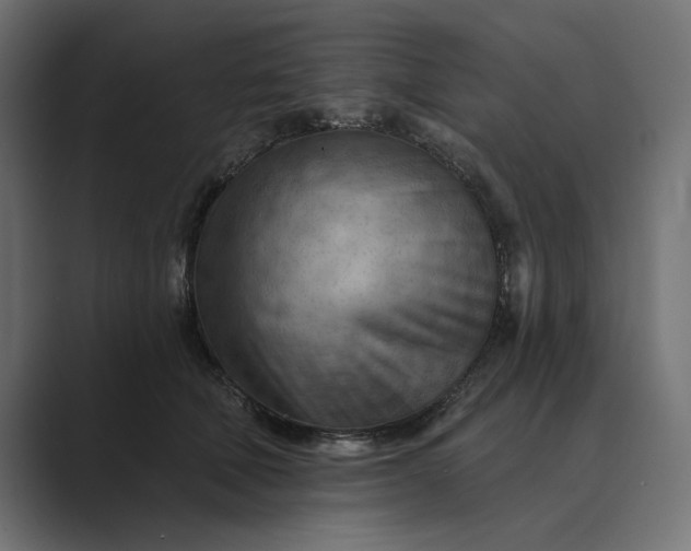 X0000089380610200706291318