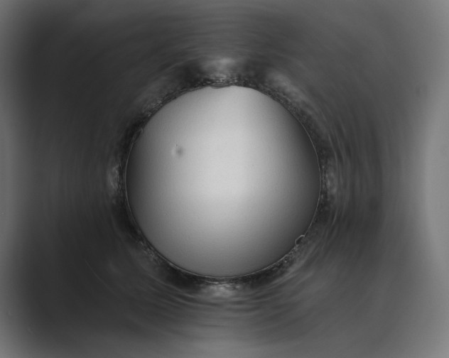 X0000089380611200706291318