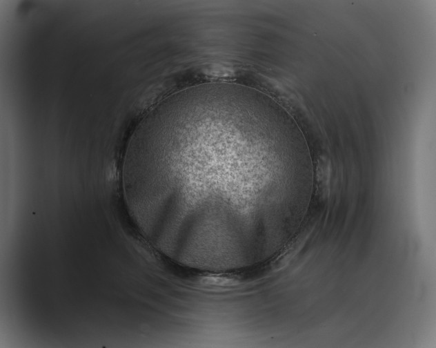X0000089380614200706291318