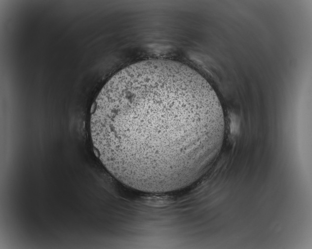 X0000089380615200706291318