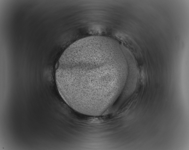 X0000089380616200706291318