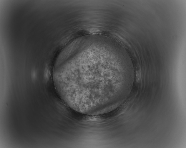 X0000089380618200706291318