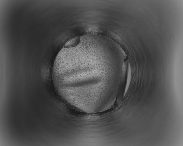 X0000089380619200706291318