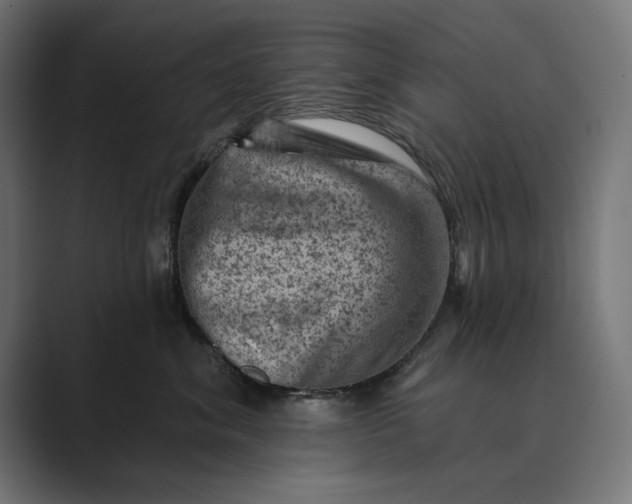 X0000089380620200706291318