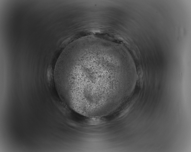 X0000089380623200706291318