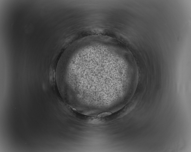 X0000089380624200706291318