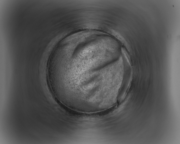 X0000089380625200706291317