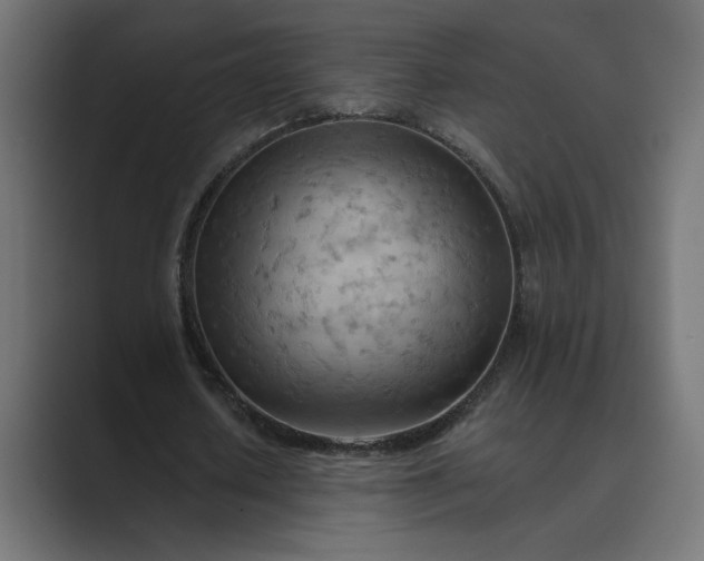 X0000089380626200706291317