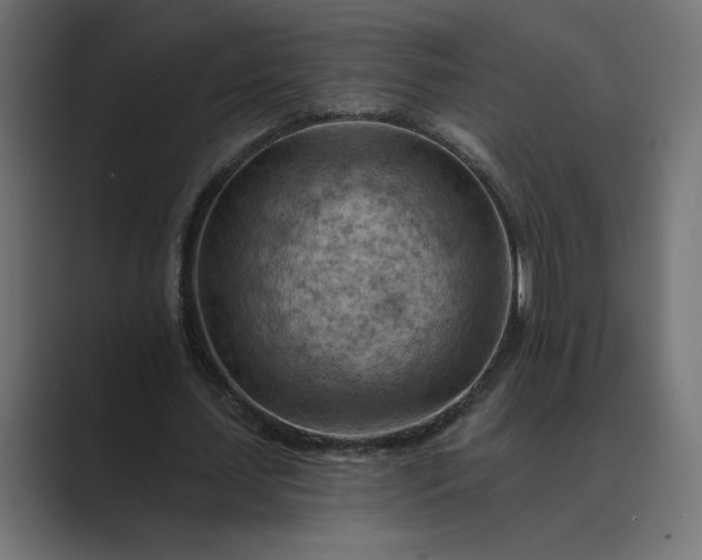 X0000089380627200706291317