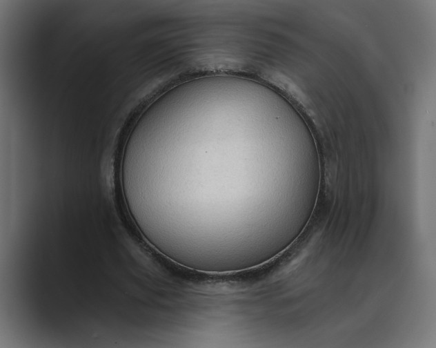 X0000089380629200706291317