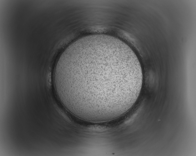 X0000089380633200706291317