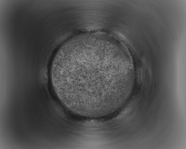 X0000089380634200706291317