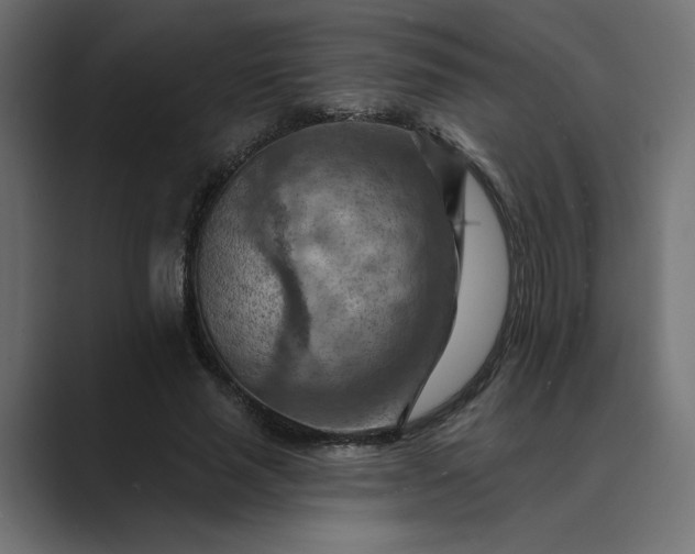 X0000089380637200706291317