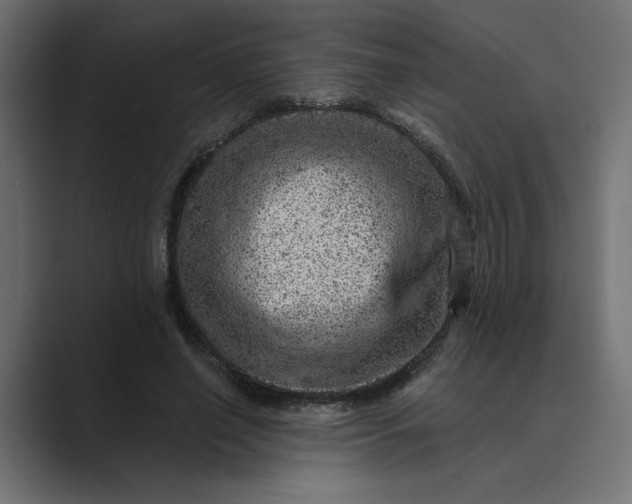 X0000089380638200706291317