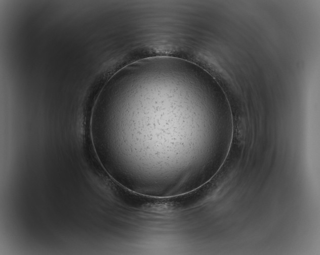 X0000089380639200706291317