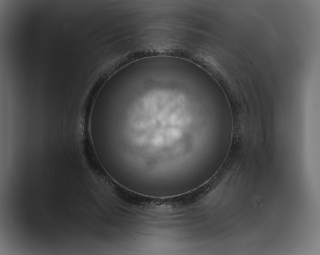 X0000089380640200706291317