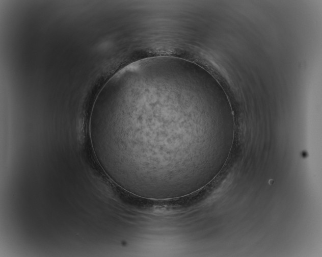 X0000089380641200706291317