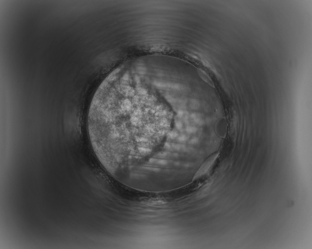 X0000089380643200706291317