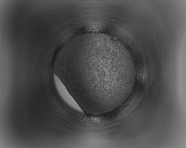 X0000089380647200706291317