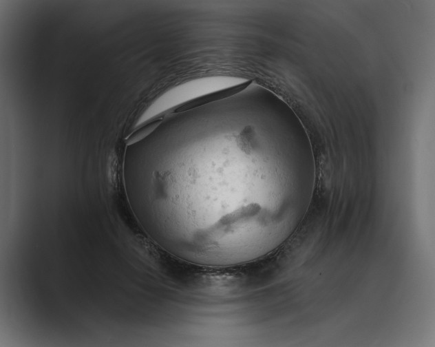X0000089380650200706291317