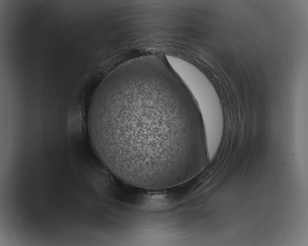 X0000089380651200706291317