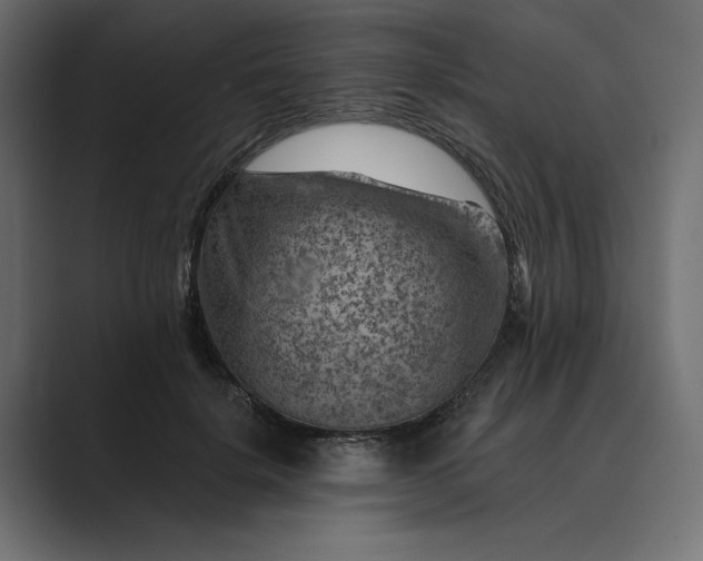 X0000089380652200706291317