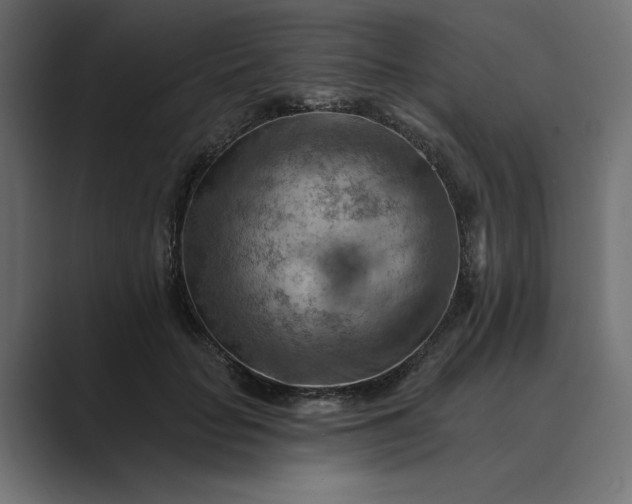 X0000089380653200706291317