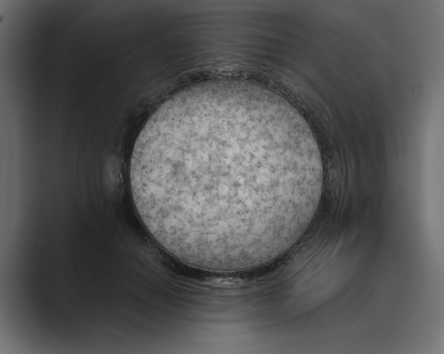X0000089380654200706291317