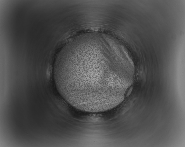 X0000089380656200706291317