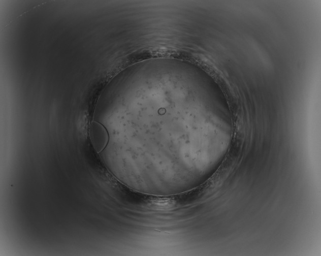 X0000089380659200706291317
