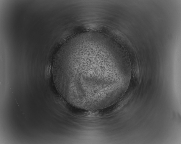 X0000089380660200706291317
