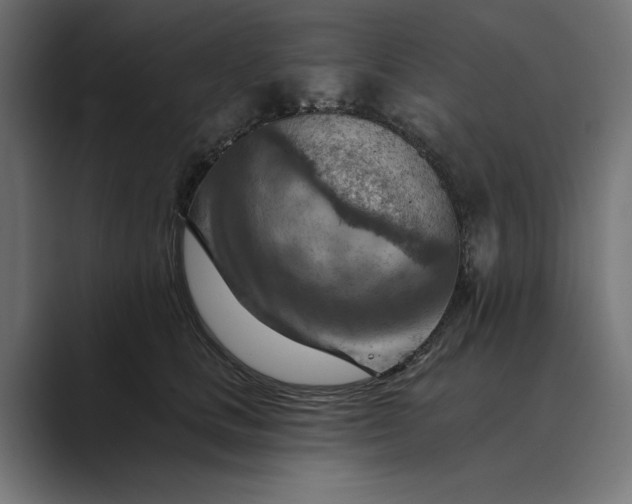 X0000089380661200706291318