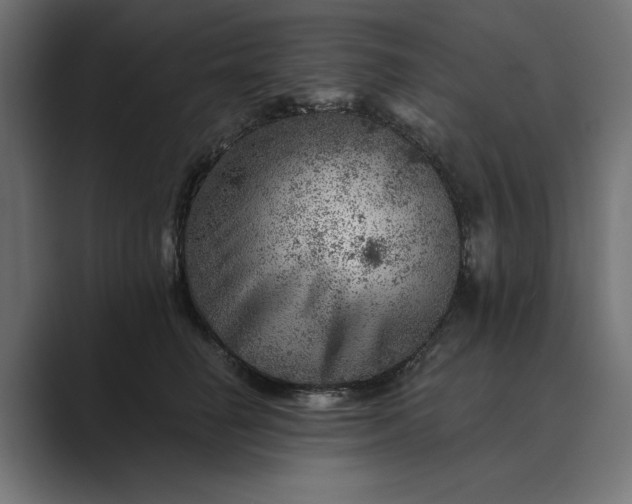 X0000089380662200706291318