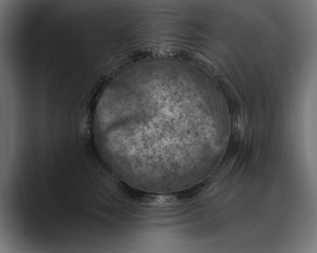 X0000089380663200706291318