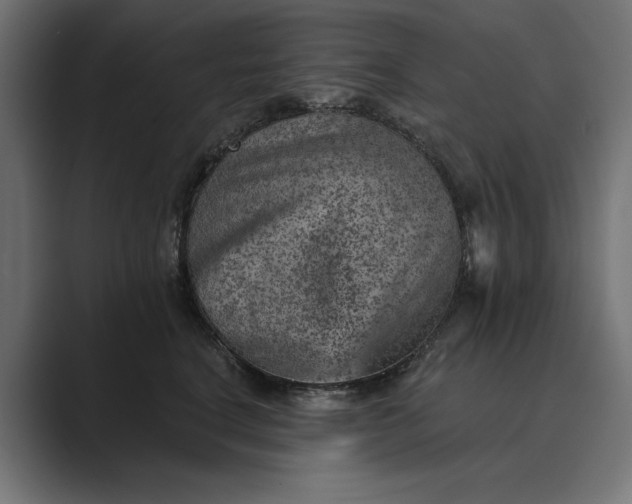 X0000089380664200706291318