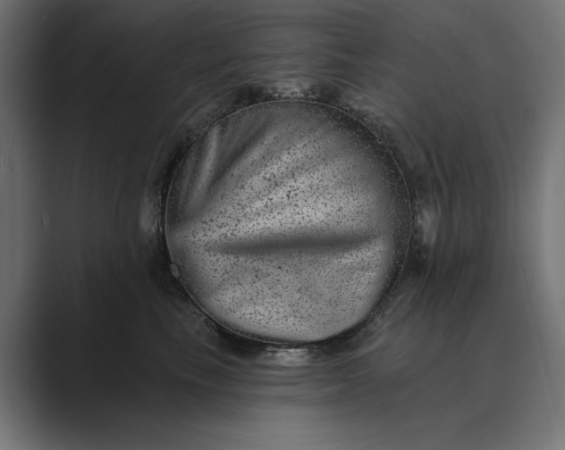 X0000089380665200706291318