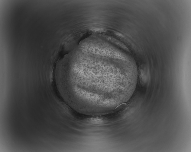 X0000089380668200706291318