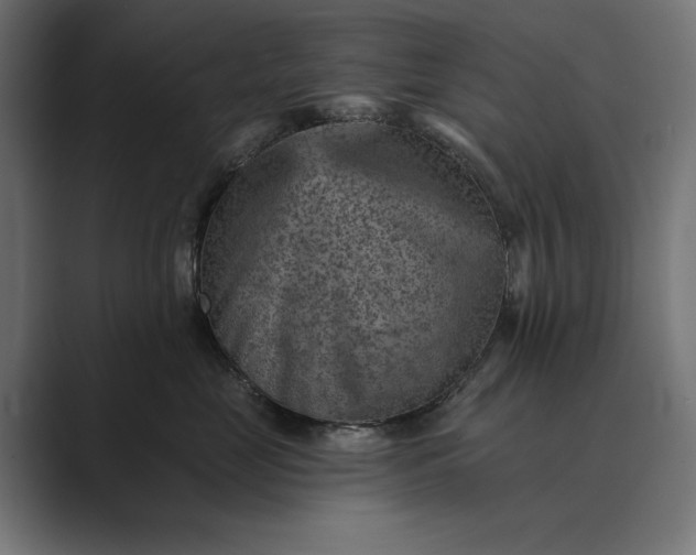 X0000089380669200706291318